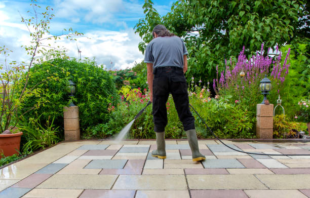 Animal Enclosure Cleaning